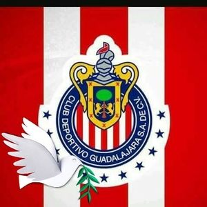 Meet your Posher, Griselda